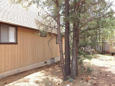 2874 Wahoo Rd, Overgaard, AZ 85933 photo 8