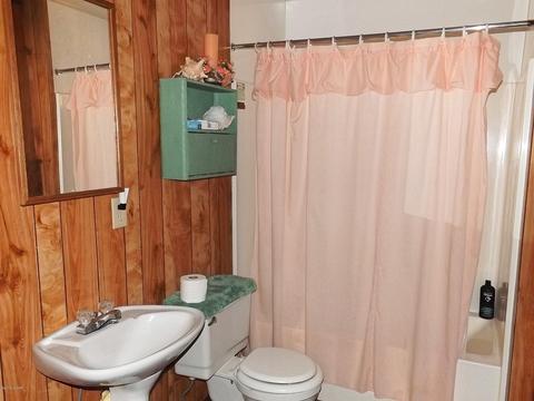 2874 Wahoo Rd, Overgaard, AZ 85933 photo 17