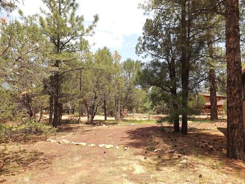 2874 Wahoo Rd, Overgaard, AZ 85933 photo 6