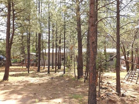 2874 Wahoo Rd, Overgaard, AZ 85933 photo 7