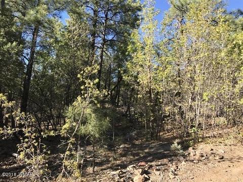 935 Miramon Dr, Lakeside, AZ 85929 photo 1