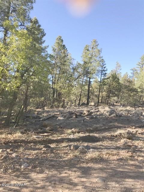 935 Miramon Dr, Lakeside, AZ 85929 photo 5