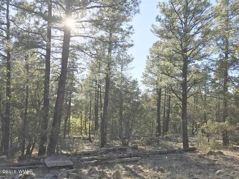 935 Miramon Dr, Lakeside, AZ 85929 photo 4