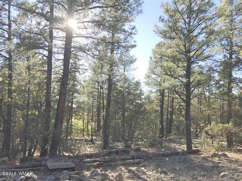 935 Miramon Dr, Lakeside, AZ 85929 photo 2