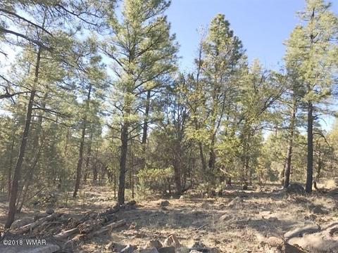 935 Miramon Dr, Lakeside, AZ 85929 photo 3