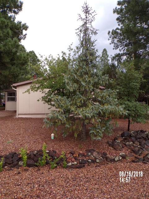 2941 E Larson Way, Show Low, AZ 85901 photo 40