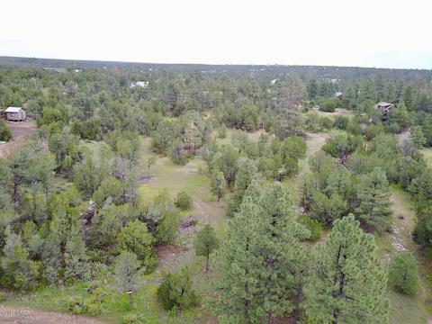 3325 Ox Bow Bnd, Overgaard, AZ 85933 photo 16