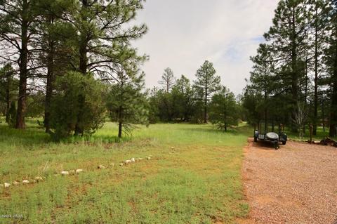 3325 Ox Bow Bnd, Overgaard, AZ 85933 photo 2