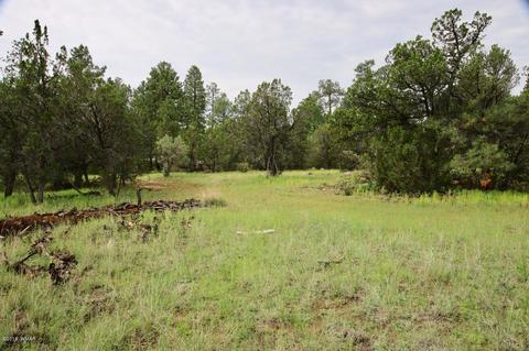 3325 Ox Bow Bnd, Overgaard, AZ 85933 photo 6