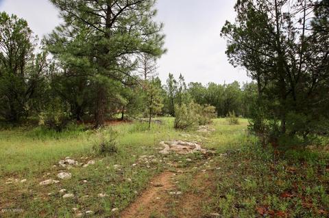 3325 Ox Bow Bnd, Overgaard, AZ 85933 photo 3