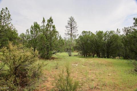 3325 Ox Bow Bnd, Overgaard, AZ 85933 photo 5