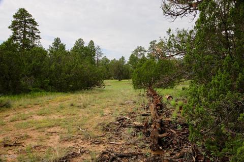 3325 Ox Bow Bnd, Overgaard, AZ 85933 photo 9