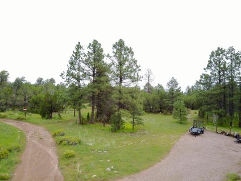 3325 Ox Bow Bnd, Overgaard, AZ 85933 photo 11