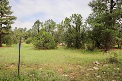 3325 Ox Bow Bnd, Overgaard, AZ 85933 photo 4