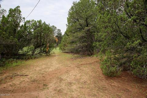 3325 Ox Bow Bnd, Overgaard, AZ 85933 photo 8