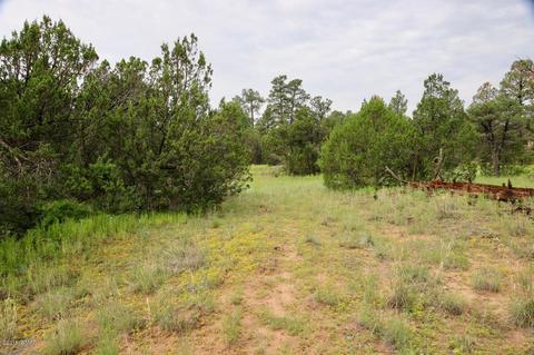 3325 Ox Bow Bnd, Overgaard, AZ 85933 photo 7