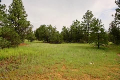 3325 Ox Bow Bnd, Overgaard, AZ 85933 photo 1