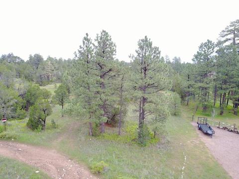 3325 Ox Bow Bnd, Overgaard, AZ 85933 photo 14