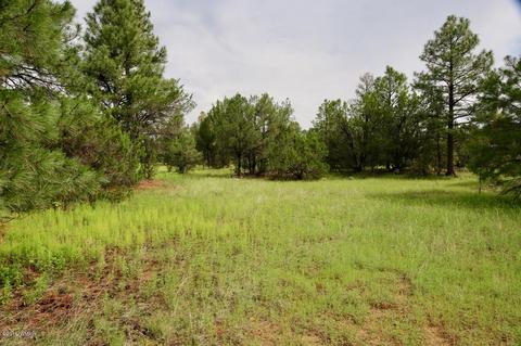 3325 Ox Bow Bnd, Overgaard, AZ 85933 photo 10