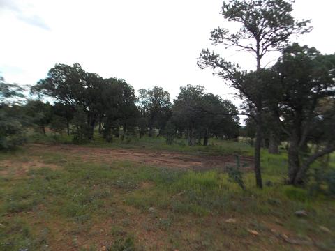 3420 Cloud Nine Blvd, Heber, AZ 85928 photo 9