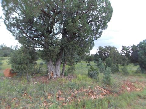 3420 Cloud Nine Blvd, Heber, AZ 85928 photo 2