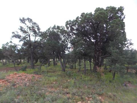 3420 Cloud Nine Blvd, Heber, AZ 85928 photo 10