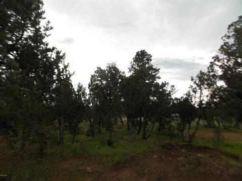 3420 Cloud Nine Blvd, Heber, AZ 85928 photo 11