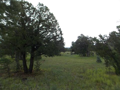 3420 Cloud Nine Blvd, Heber, AZ 85928 photo 7