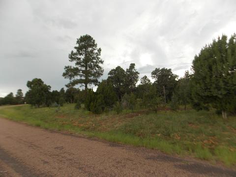 3420 Cloud Nine Blvd, Heber, AZ 85928 photo 12