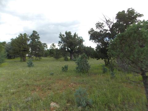 3420 Cloud Nine Blvd, Heber, AZ 85928 photo 3