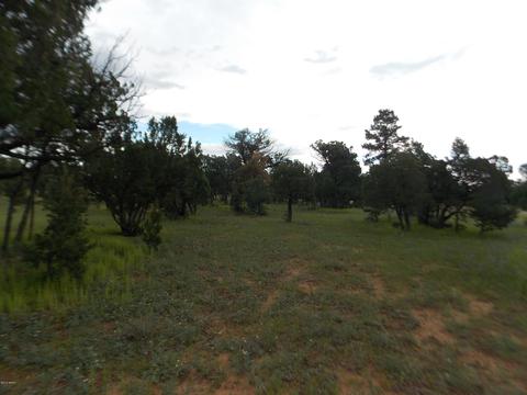 3420 Cloud Nine Blvd, Heber, AZ 85928 photo 6