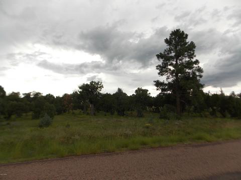 3420 Cloud Nine Blvd, Heber, AZ 85928 photo 13