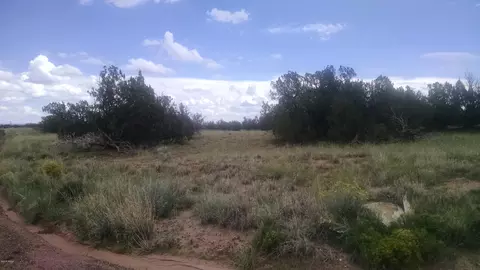 3895 Hidden Ranch Rd, Snowflake, AZ 85937 photo 2