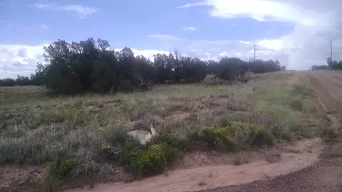 3895 Hidden Ranch Rd, Snowflake, AZ 85937 photo 1
