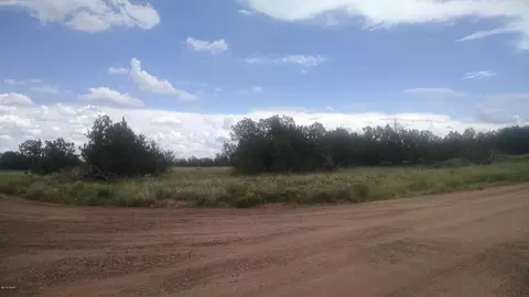 3895 Hidden Ranch Rd, Snowflake, AZ 85937 photo 3