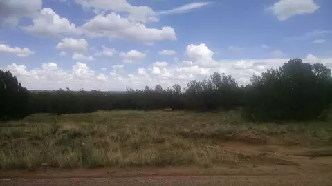 3895 Hidden Ranch Rd, Snowflake, AZ 85937 photo 6