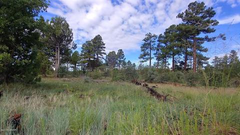 5139 Highway 260, Clay Springs, AZ 85923