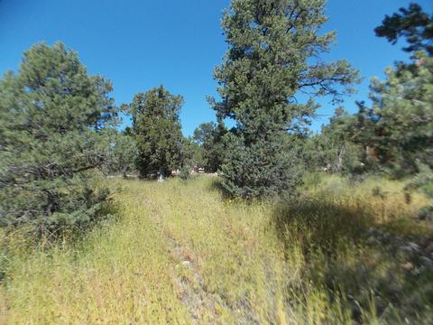 2927 Antelope Trl, Overgaard, AZ 85933 photo 8