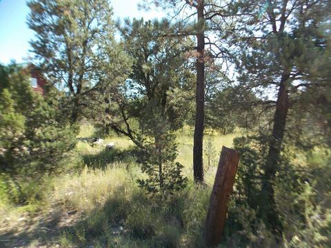 2927 Antelope Trl, Overgaard, AZ 85933 photo 12