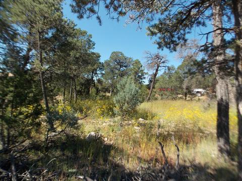 2927 Antelope Trl, Overgaard, AZ 85933 photo 7