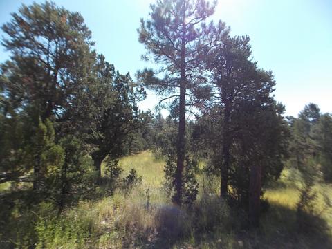 2927 Antelope Trl, Overgaard, AZ 85933 photo 13