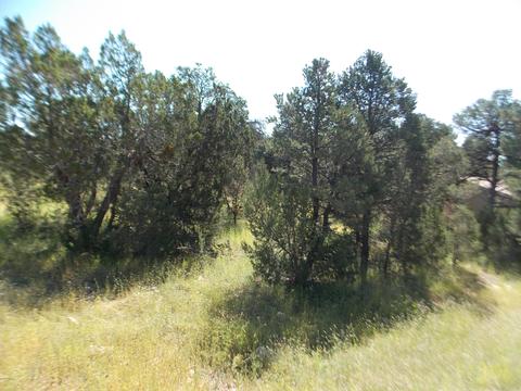 2927 Antelope Trl, Overgaard, AZ 85933 photo 11