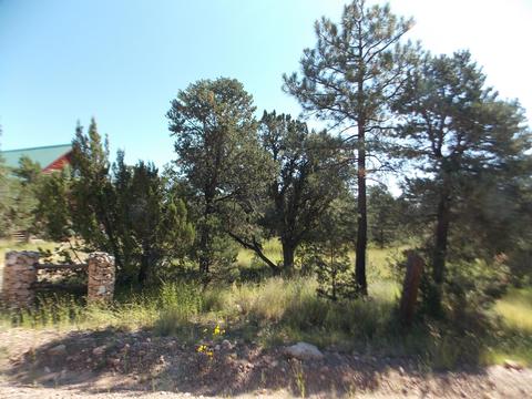 2927 Antelope Trl, Overgaard, AZ 85933 photo 1