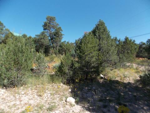 2927 Antelope Trl, Overgaard, AZ 85933 photo 2