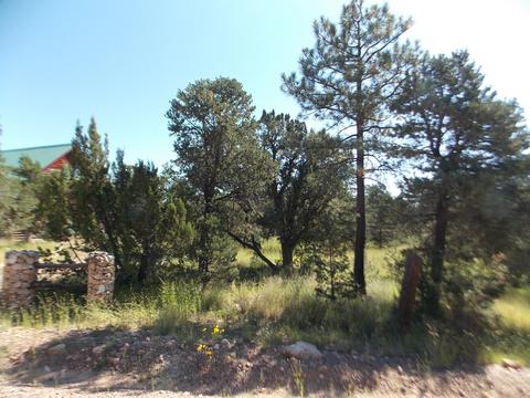 2927 Antelope Trl, Overgaard, AZ 85933 photo 14