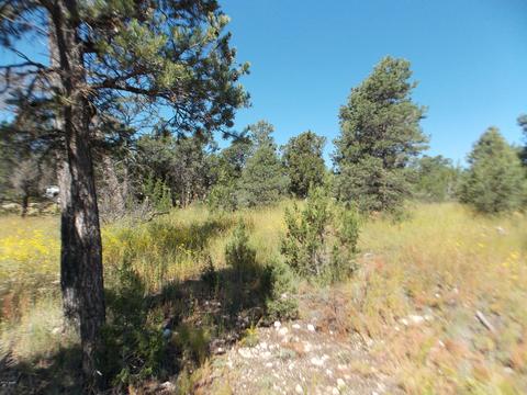 2927 Antelope Trl, Overgaard, AZ 85933 photo 6