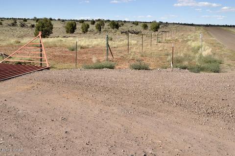 5154 White Antelope Rd, Snowflake, AZ 85937 photo 4