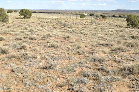 5154 White Antelope Rd, Snowflake, AZ 85937 photo 8