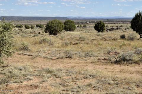 5154 White Antelope Rd, Snowflake, AZ 85937 photo 7