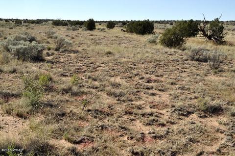 5154 White Antelope Rd, Snowflake, AZ 85937 photo 12